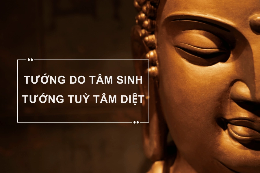 Tâm sinh tướng có thực sự đúng không: Giải mã nhân tướng và ứng dụng thay đổi vận mệnh