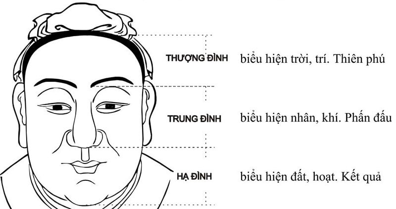 Trán cao trong nhân tướng học: Ý nghĩa tướng trán và ảnh hưởng đến vận mệnh, sự nghiệp