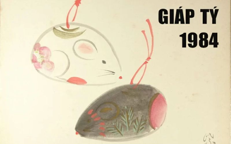Tử vi 1984 năm 2026: Phân tích vận mệnh, tài lộc và đại vận cho tuổi Tý 1984