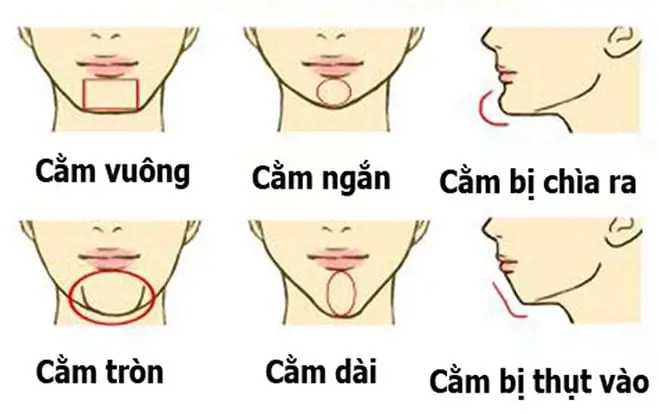Tướng cằm nhìn tướng số: nhọn, vuông, tròn, dài, ngắn và hai cằm nói gì