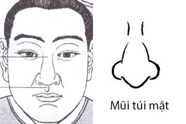 Minh họa nhìn tổng thể khuôn mặt trong tướng giàu sang