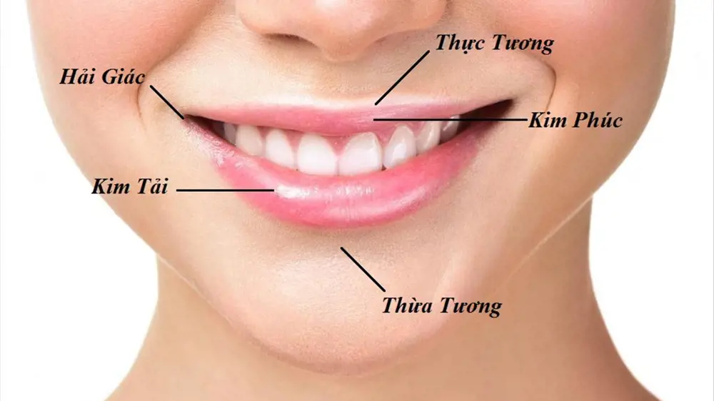 Tướng miệng và giao tiếp: môi dày, môi mỏng, miệng rộng ảnh hưởng đến nhân duyên và sự nghiệp