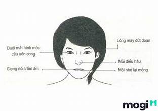 Tướng môi mỏng: Ý nghĩa trong nhân tướng học, tướng miệng và cách cải thiện vận mệnh