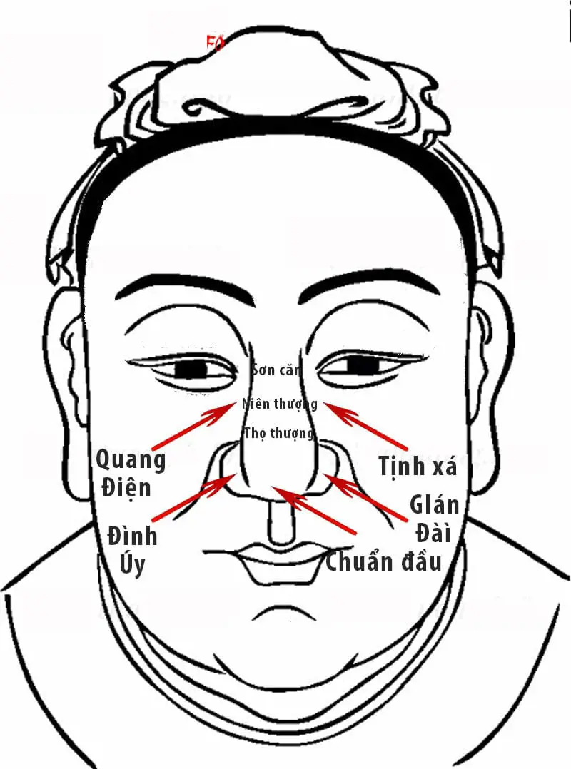 Tướng mũi trong nhân tướng học: Dấu hiệu tài lộc, tính cách và cách cải tướng hiệu quả