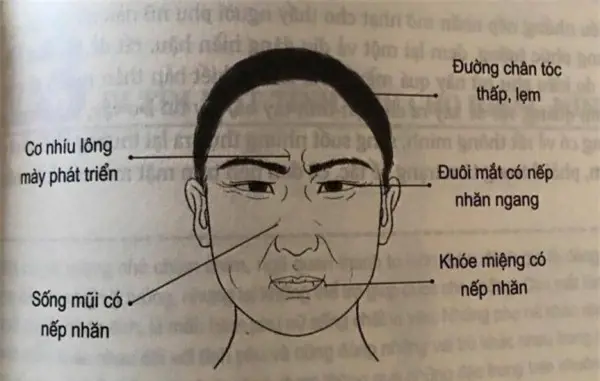 Chân dung cận cảnh ánh mắt minh họa tướng người hay nói dối