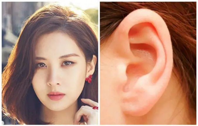 Minh họa tướng tai phụ nữ: dáng tai tròn và dái tai đầy đặn thể hiện phúc khí