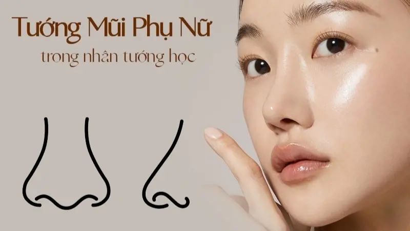 Xem tướng mũi: Giải mã mũi thông thiên, mũi giữ tiền và các dáng mũi