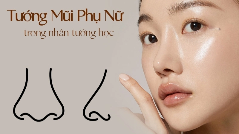 Minh họa mũi thông thiên khi xem tướng mũi và ý nghĩa tài lộc